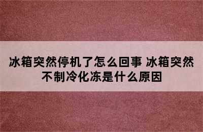 冰箱突然停机了怎么回事 冰箱突然不制冷化冻是什么原因